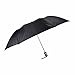 Fendo 2 Fold Black silver auto Open Umbrella for Men RS.260.00