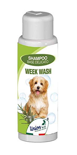 Union B.I.O. Solución Natural S.R.L. Cgwwb250 ml Week Wash Base Champú Delicado 250 ml