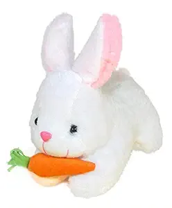 ANITA CORPORATION Rabbit with Carrot Stuffed Plush Soft Toy for Baby Girl Kids Boys - 25 cm, White, 1 Pieces