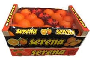 ‎LIEFERFRUCHT Orangen aus Spanien oder Südafrika zum Sonderangebot, Spitzenqualität, 1 A dicke Früchte süß, saftig + aromatisch 15 kg Kiste
