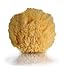 Natural Sea Sponge Spa - Honeycomb (Professionals and Beauty Experts)