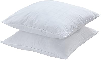 AmazonBasics Lot de 2 oreillers en microfibre 65x65 cm