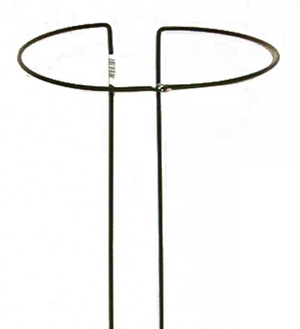 Preisvergleich Produktbild Strauchstütze 45 cm, 5 mm, grün, vollrund, verstellbar