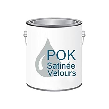 Peinture Acrylique Pour Murs Satin Lessivable Gris Perle Pok Satin 10 L Grille Offerte