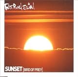 Sunset (Bird of prey)