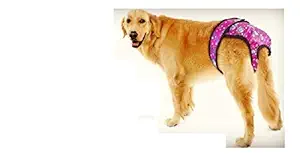 Birds' Park Dog Diaper 2 Pcs.Set (Large XL XXL 3XL Giant) Reusable Adjustable with 6 Disposal Pad Good for Female Dog Menstruation Underwear Sanitary (Please Check Size in PHOTOGRPAH Before Buying)