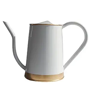 ecofynd 2 Litre Metal Watering can for Plants | Garden Water can for Kids | Flower Watering Pot for Home Gardening | Color - White, Size - WC3: 2 L with spout
