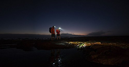 Led Lenser Stirnlampe LED - 9