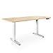 Produktbild eSmart Germany elektrisch höhenverstellbarer Schreibtisch | Mit Holz-Tischplatte aus Ahorn Dekor und Tischgestell | 160 x 80 cm