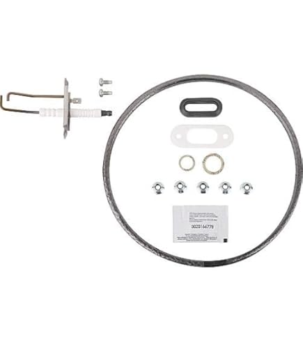 Électrode LEBLANC Condensation Réf 87181070870 - Neuve