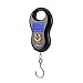 Produktbild Ballylelly Portable Mini Digital Hand 50 kg * 10g Fisch Haken Hängewaage Elektronische Gewichtung Gepäck Skala Blau hintergrundbeleuchtete LED-Anzeige