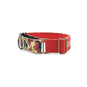 PetWale Red Dog Martingale Collar (Red, Large)