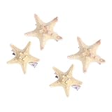 Nota: La estrella de mar seca no puede tocar el agua, de lo contrario es perecedera. Si toca el agua con cuidado, séquela lo antes posible. Puede tener un poco de sabor salado. Puedes ponerlo bajo el sol, y el olor será menor.