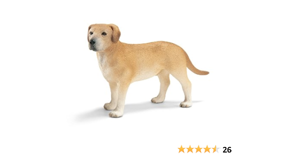 amazon labrador dog