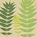 Produktbild Servietten (2er Set/40Stück) 3-lagig 33x33cm Sommer Muster (Green leaves nature)