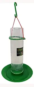 Amijivdaya Large Water Feeder Pack of 1