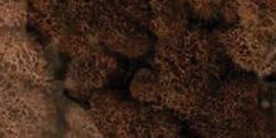 Bulk Buy: Quality Growers Preserved Reindeer Moss 108.5 Cubic Inches Walnut (3-Pack)