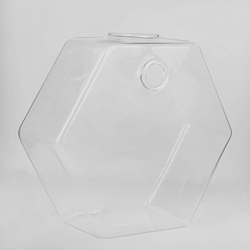 Gazechimp Transparent Sechseckig Form Hängevase Glas Vase Glasvase Blumenvase Wand DIY Balkon Dekoration - 5