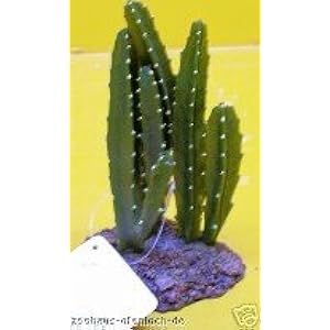 Terrarien Kaktus 2103 - EUR 5,95