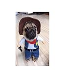 ★★Patrón: Imprimir GHYSTORM Ropa para Perros Cosplay para Perros pequeños Chaqueta de Bulldog francés de Invierno Permanente Perro de Dibujos Animados Disfraz de Halloween Ropa para Mascotas Chihuahua-Estilo Vaquero_SG