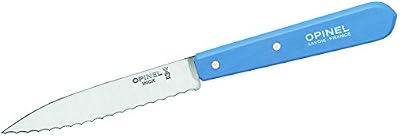 Opinel Adultes Couteau de Cuisine No. 113, Acier Sandvik de Acier Inoxydable, sägezahnung, hellb Keramik Hêtre Manche en Bois Couteau Chef, Multicolore, Taille Unique