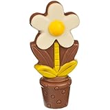 Flor de chocolate con maceta - Blanco