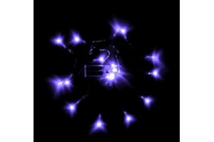 eBuzz Battery Operated Fairy Lights with 20 Purple LEDs (Purple)