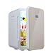 Produktbild LIU UK Car Refrigerator Mini Kühlschrank 22L Gold Dual-Core-Mute CNC-Display Reefer Kühler Box (Home Office und Auto verwenden)