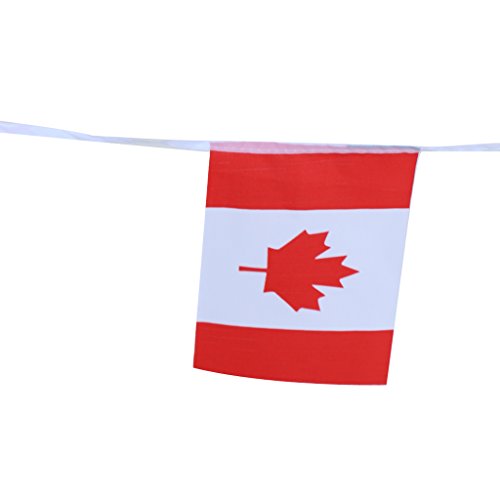 MagiDeal 10m Canadian Country Flag String Bunting Banner Garland Outdoor Garden Decor Pack of 30Pcs reviews MagiDeal 10m Canadian Country Flag String Bunting Banner Garland Outdoor Garden Decor Pack of 30Pcs