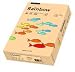 Produktbild 5 x Papyrus Kopierpapier Rainbow Pastell A4 80g/qm VE=500 Blatt lachs