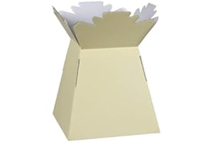 APAC Ivory Living Vase Flower Box Flower Bouquet Transporter, Sweet Tree Box