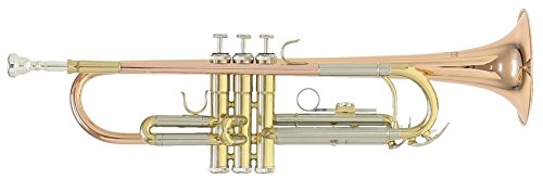 Roy Benson Bb Trompete MOD.TR-202G goldmessing lackiert, inkl. Etui