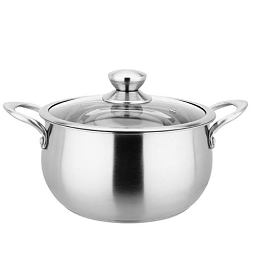 Preisvergleich Produktbild ALARION Kochtopf Edelstahl poliert induktionsgeeignet spülmaschinengeeignet 20 * 11.5CM