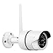 Price comparison product image maisi Wireless 720P HD Outdoor CCTV Security Network IP Camera, Waterproof WiFi Bullet Cam with Superior Night Vision, Quick Scan And Connect, Motion Detection, Push Alerts