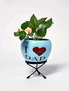 HINS 7 Inch I Love Dad Print Polka Metal Round Shape Flower Plant Pot With Stand Metal Pots For Indoor Plants I Elevated Garden Planter I Raised Planter I Desk Plant I Raised Planter Box I Ascent Homes Metal Planter I Raised Planter Box With Legs I Brass Pots For Indoor Plants I Golden Planter I Mid Century Plant Stand I Brass Planters For Indoor Plants I Indoor Plant Stand For Living Room I Metal Planters Pot For Indoor Plants designer pots for indoor plants