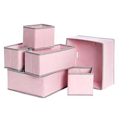 SONGMICS Organisateurs de tiroirs, Boîtes de Rangement pour sous-vêtements, Lot de 6, pour Chaussettes, Soutiens-Gorge, Culottes, Cravates, écharpes, Rose RDZ06PK