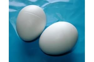 Homestead Farm Supplies Pair of Dummy Chicken White Plastic Chicken Egg - Encourage hens to lay