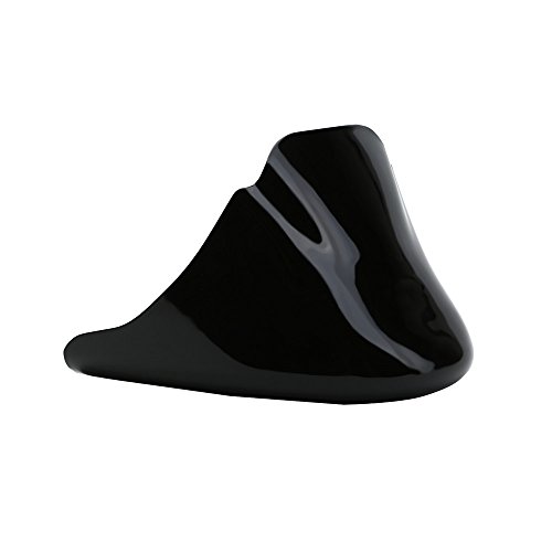 ECLEAR Alerón delantero para barbilla cubierta de carenado soporte de montaje Air Dam para Harley 883 1200 XL Sportster.
