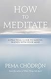 How to Meditate: A Practical Guide to Making Friends with Your Mind by