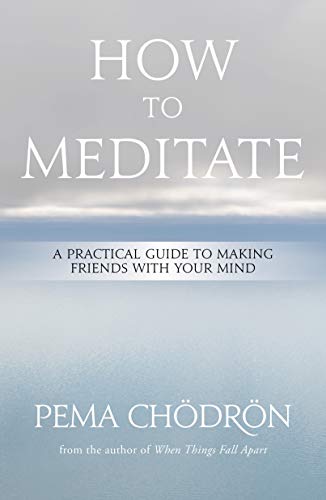 How to Meditate: A Practical Guide to Making Friends with Your Mind