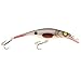 Produktbild Westin Platypus Wobbler suspending 12cm Stamped Roach