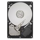 Seagate ST310005N1A1AS 1TB Internal Desktop Hard Drive