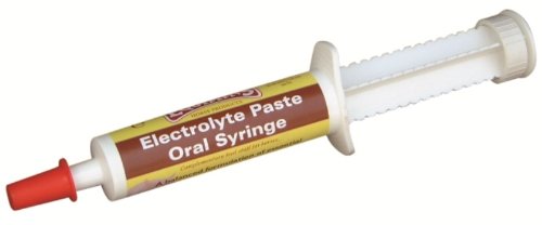 Equimins-Horse-Electrolyte-Paste-x-30-Ml-Oral-Syringe