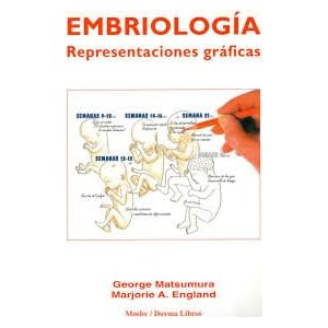 Embriologia: representaciones graficas