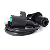 Bobina de encendido para Kymco Agility 50, CX 50, Dink 50, 125, 150, Dink 125 I, 50 S, DJ 50 x, 50 y, DJ World AC (2Pin, 2T/4P)