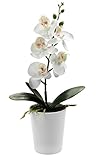 Kunstpflanze Orchidee mit Topf M 28cm weiß