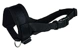nylon.^Bozal Lazo Nylon, Entrenamiento, L, 18-30 cm, Ng  .^Bozal Lazo Nylon, Entrenamiento, L, 18-30 cm, Ng  .