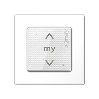 SOMFY Controllo Impulso SMOOVE Origine RTS Bianco - 1810880, Per Tapparelle E Avvolgibili