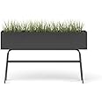 HNI India Avail Low: Ergonomic Indoor Plant Stand - Versatile Rack for Home/Office, Black