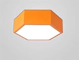 Este producto solo incluye la luz de techo X1, además de otros elementos dentro de la imagen no están incluidos